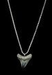 Serrated Juvenile Megalodon Tooth Necklace #35761-2